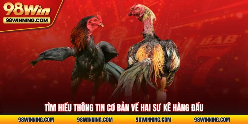 Tìm hiểu thông tin cơ bản về hai sư kê hàng đầu