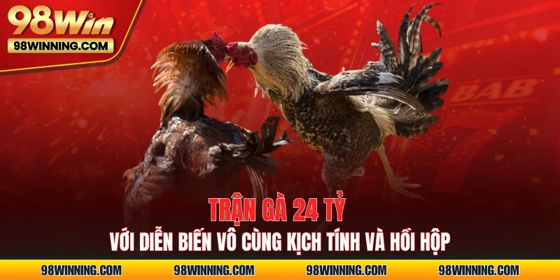 Trận Gà 24 Tỷ Với Diễn Biến Vô Cùng Kịch Tính Và Hồi Hộp